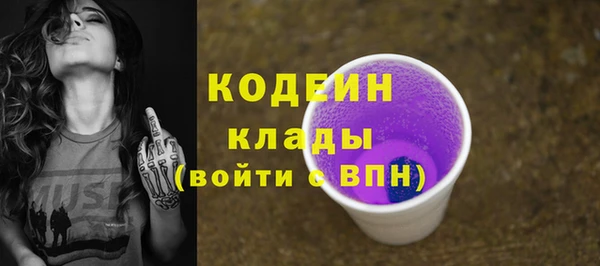 индика Верхний Тагил