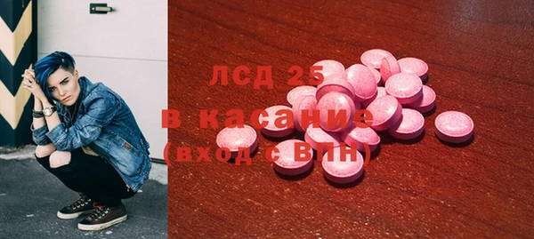 индика Верхний Тагил