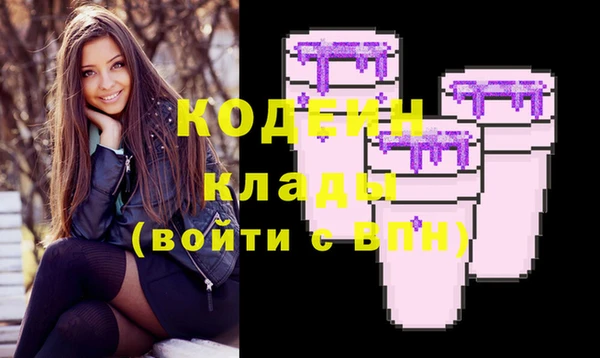 индика Верхний Тагил