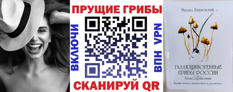где купить наркоту мега ТОР Псилоцибиновые грибы Magic Shrooms Новосокольники