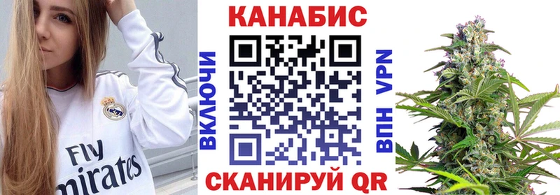 купить наркотик  Новосокольники  Шишки марихуана THC 21% 